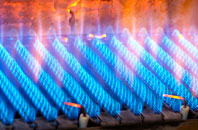 Pett gas fired boilers